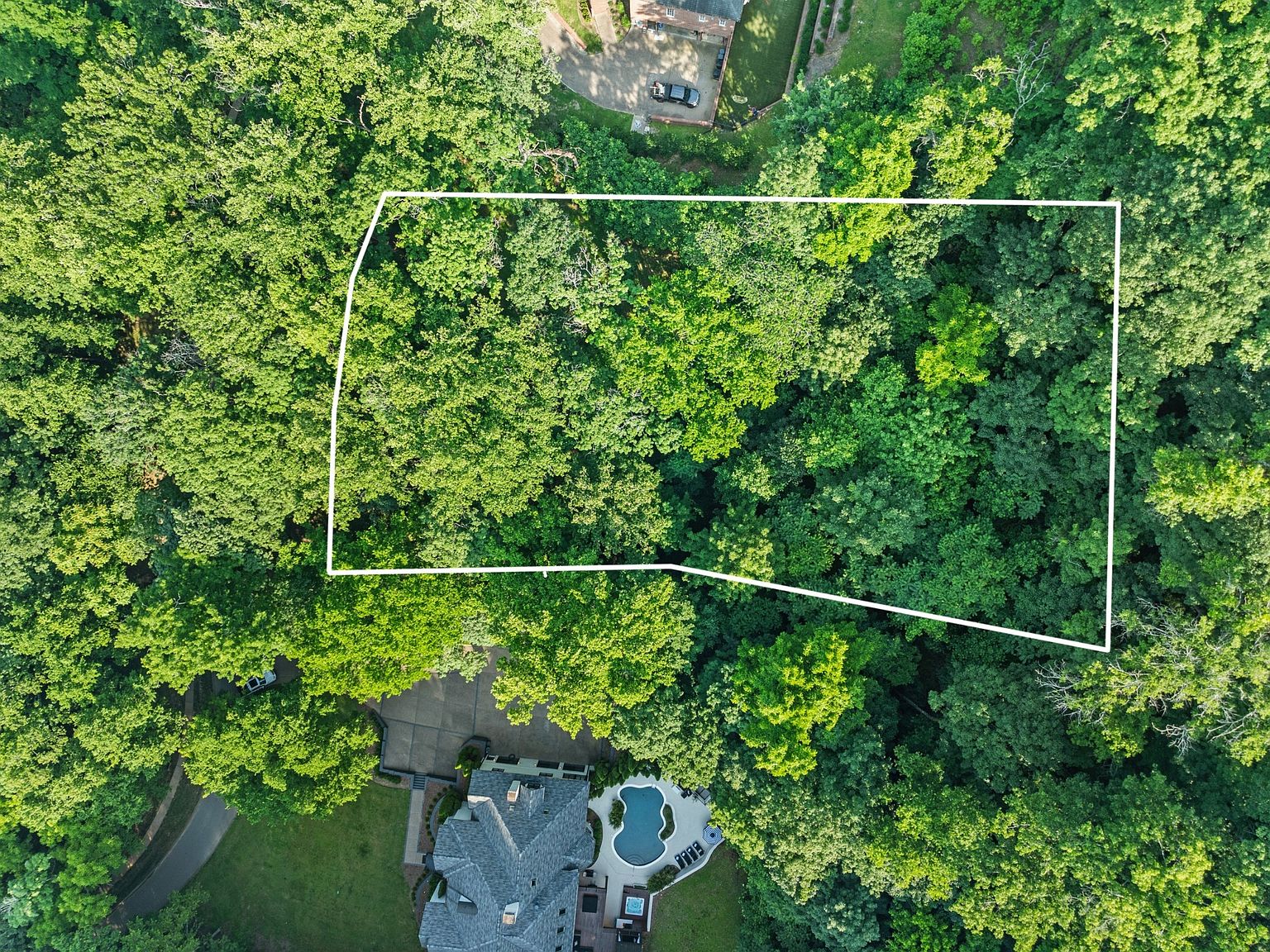 Aerial view of the 2.01-acre lot at 35 Annandale, outlined in white among mature trees
