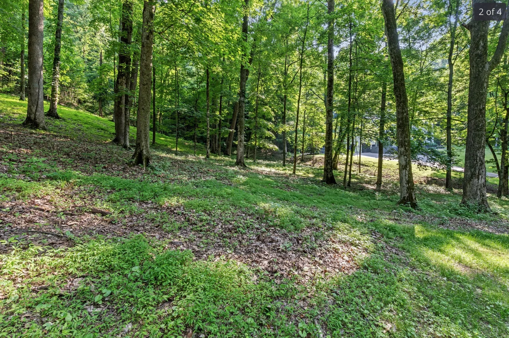 Sloped wooded interior of the lot with a neighboring estate glimpsed through the trees